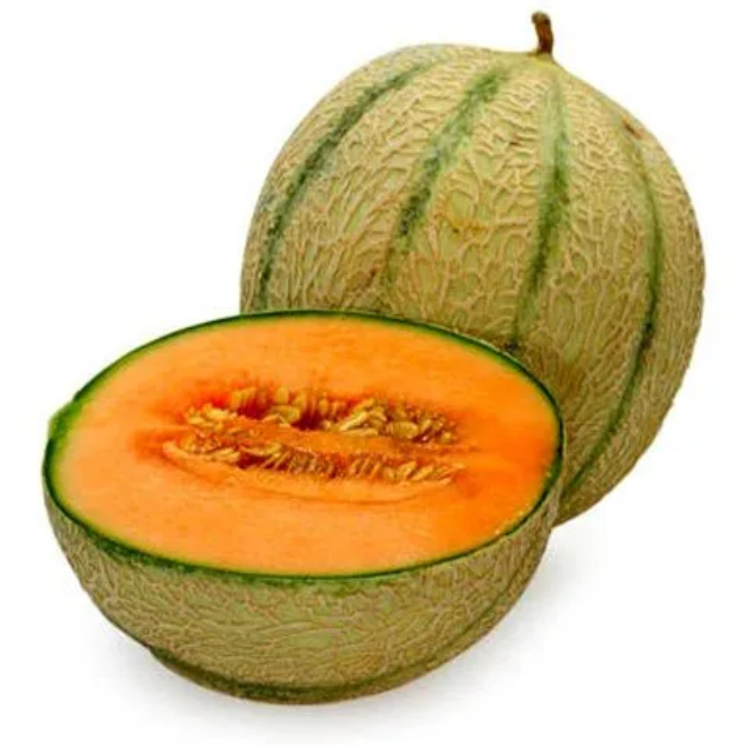 Wholesale Organic Muskmelon – Oman